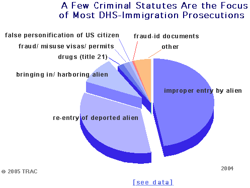 A Few Criminal Statutes are the Focus of Most DHS-Immigration Prosecutions